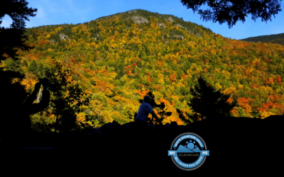 Post Thanksgiving in the Mt Washington Valley